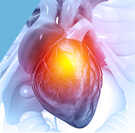 stock-photo-anatomy-of-human-heart