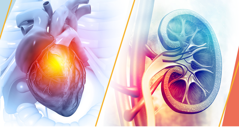heart and CKD heart and CKD